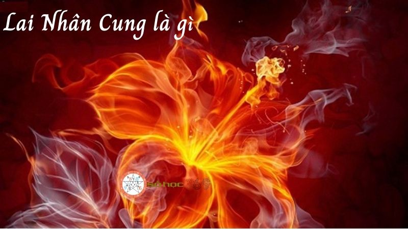 Lai nhân cung là gì