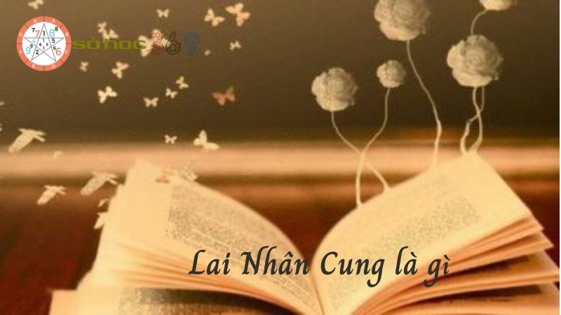 Lai nhân cung là gì