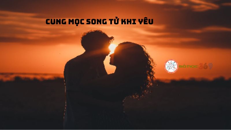 Cung mọc Song Tử khi yêu