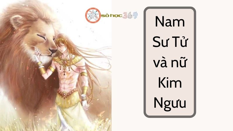 Nam Sư Tử và nữ Kim Ngưu