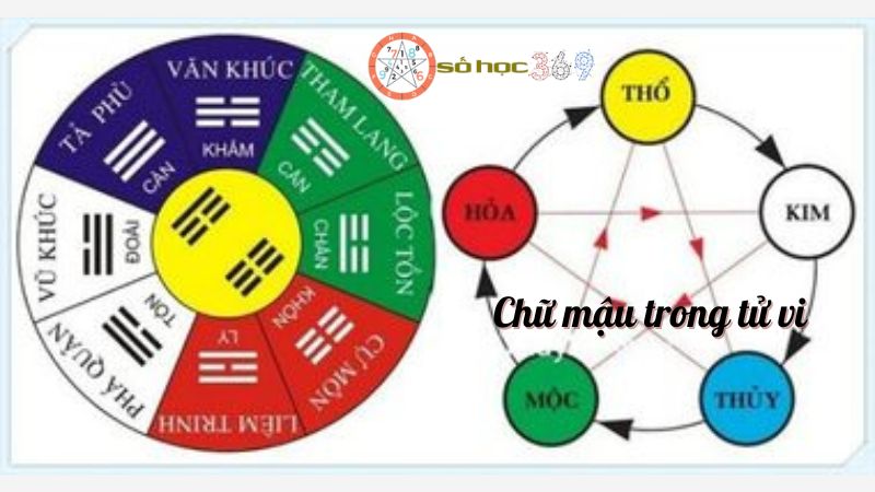 Chữ mậu trong tử vi