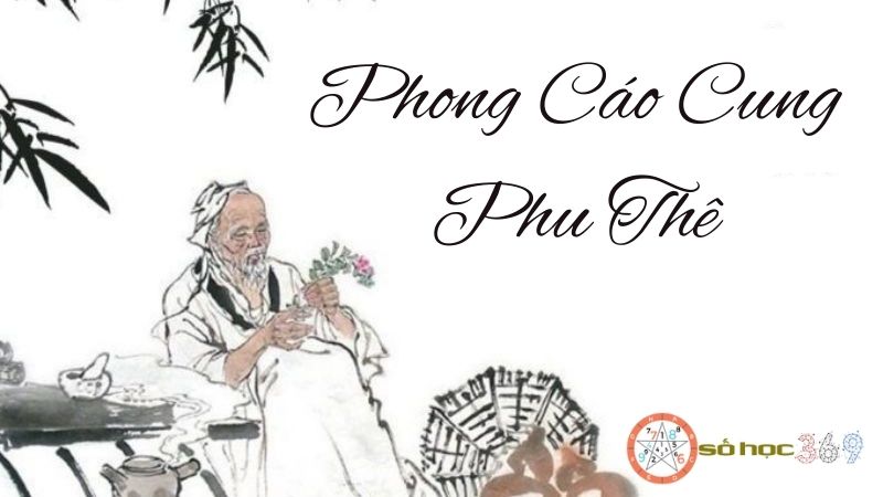 Phong Cáo Cung Phu Thê