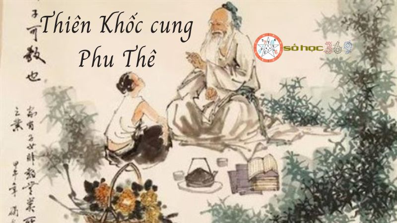 Thiên Khốc cung Phu Thê