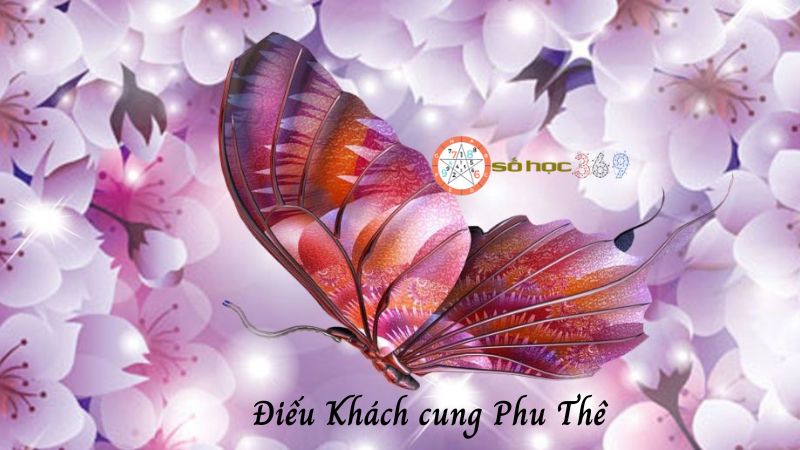 Điếu Khách cung Phu Thê